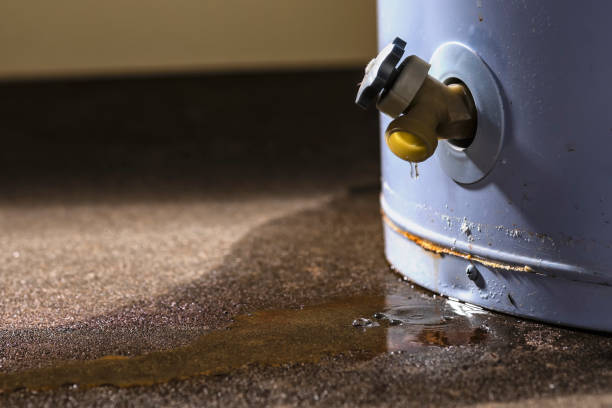Best Water damage cleanup near me  in Montgomery, MN