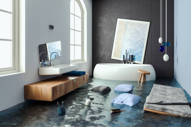 Best Water damage restoration near me  in Montgomery, MN