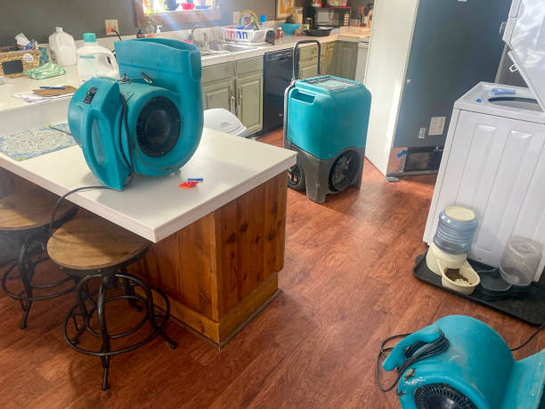 Best Commercial water damage restoration  in Montgomery, MN