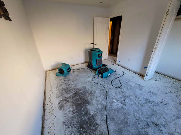 Best 24-hour water damage restoration  in Montgomery, MN
