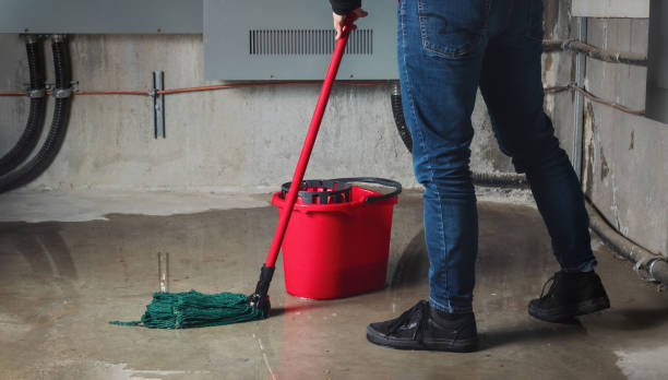 Best Professional water damage repair  in Montgomery, MN