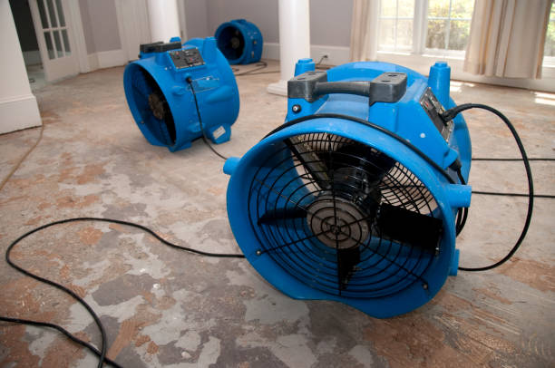 Best Fire Damage Restoration  in Montgomery, MN
