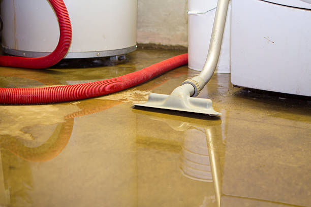 Best Sewage cleanup and water damage restoration  in Montgomery, MN