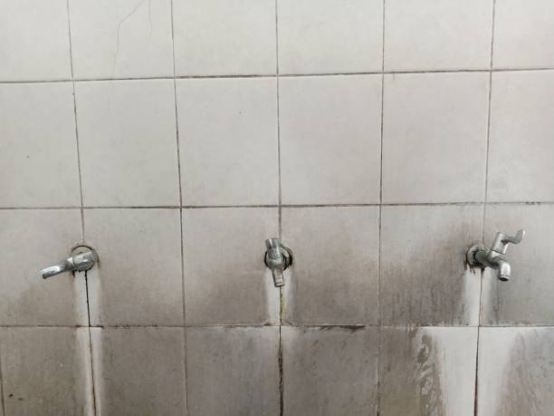  Montgomery, MN Water damage restoration Pros