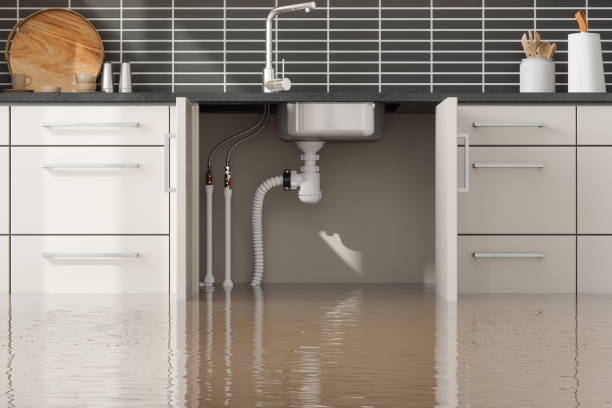 Best Mold removal after water damage  in Montgomery, MN