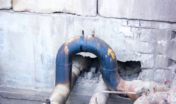 Best Ceiling water damage repair  in Montgomery, MN